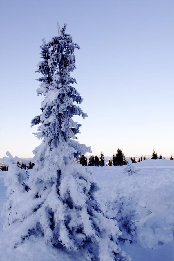Ilsetra Hotell Hafjell Dış mekan fotoğraf